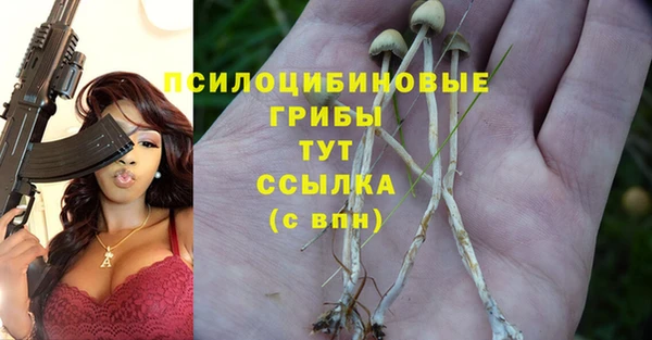 MESCALINE Вяземский
